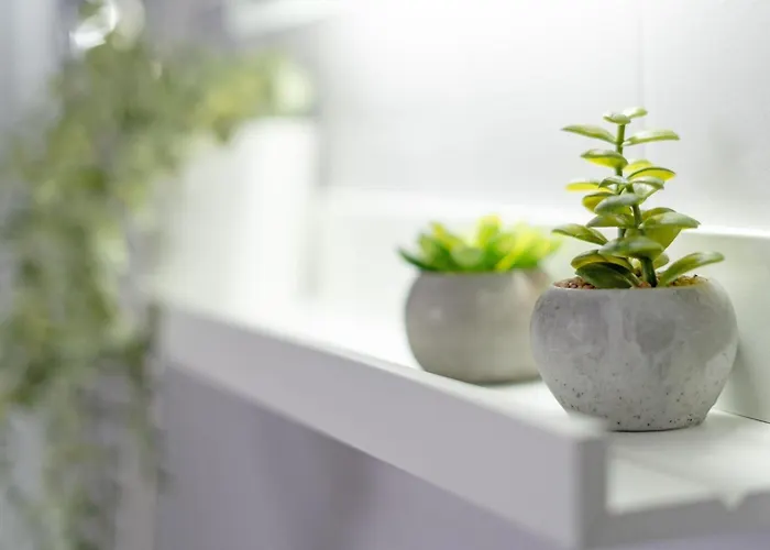 Haus Moewenglueck Appartement